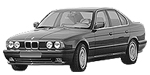 BMW E34 P0488 Fault Code